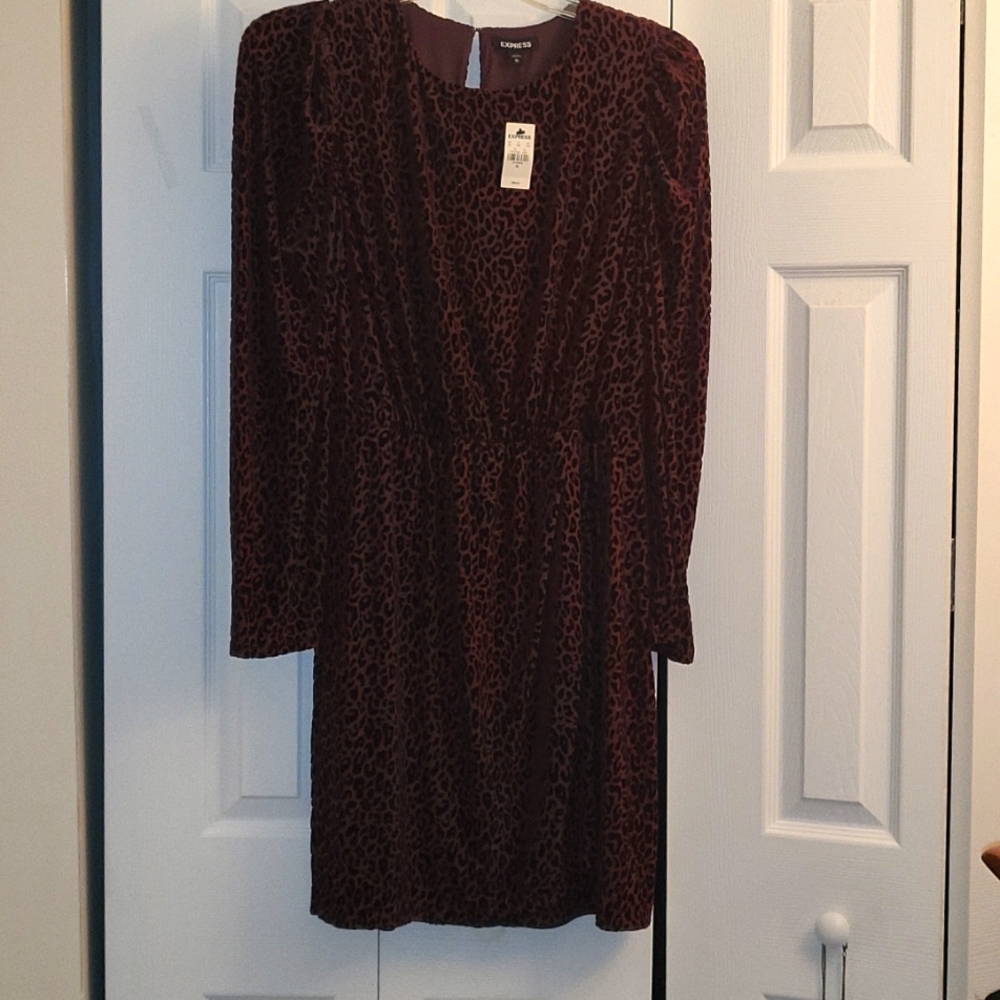 Express velveteen dress